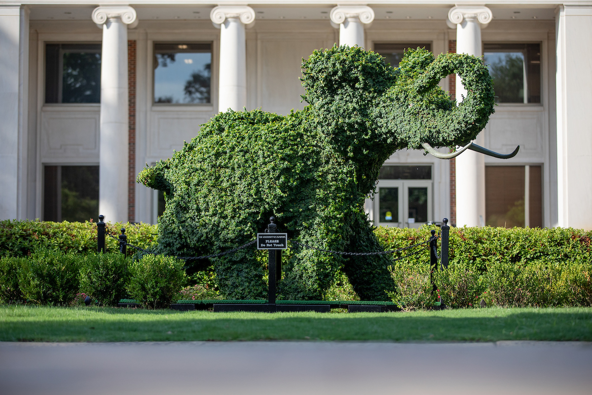 elephant topiary in front of the Rose Administration Building