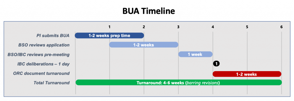 BUA timeline showing the review schedule