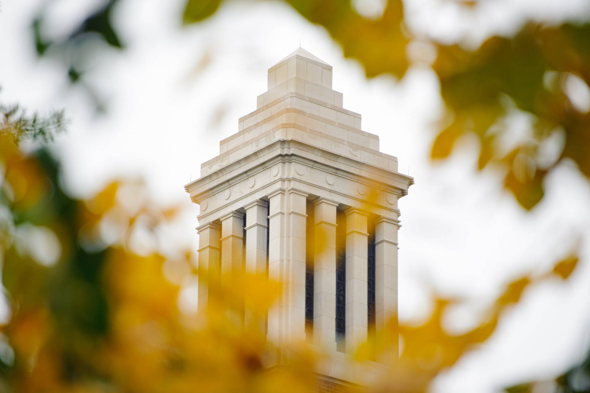 Denny Chimes in the fall