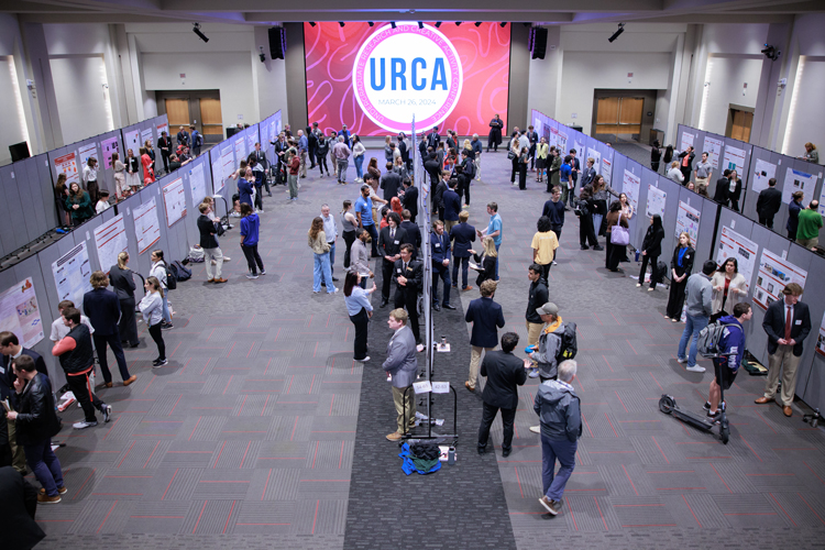 wide shot of the auditorium where more than 500 undergraduate students presented research posters on March 26, 3024
