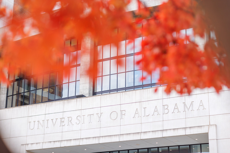 fall foliage hanging over University of Alabama sign