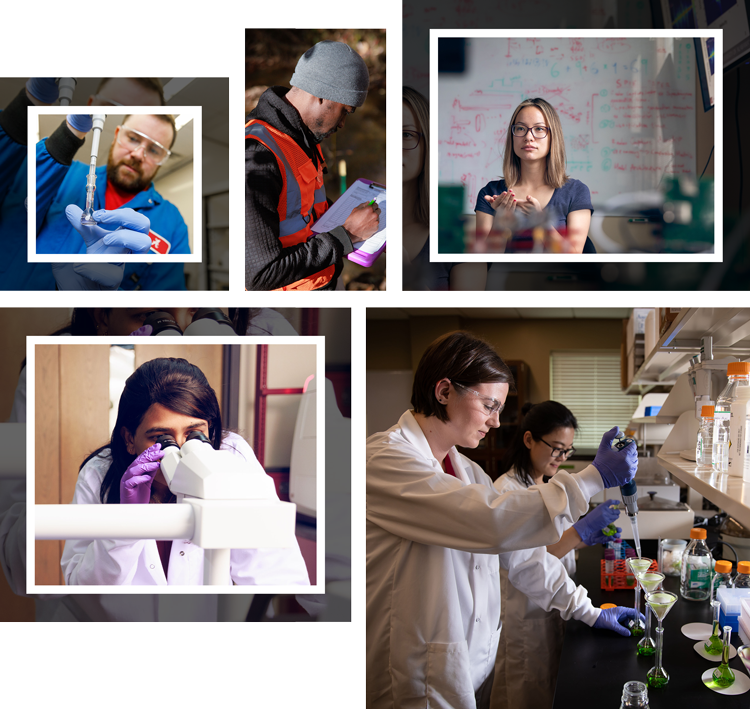 a collage of researchers from across campus, including biologists, speech and language pathologists, chemists, and medical researchers