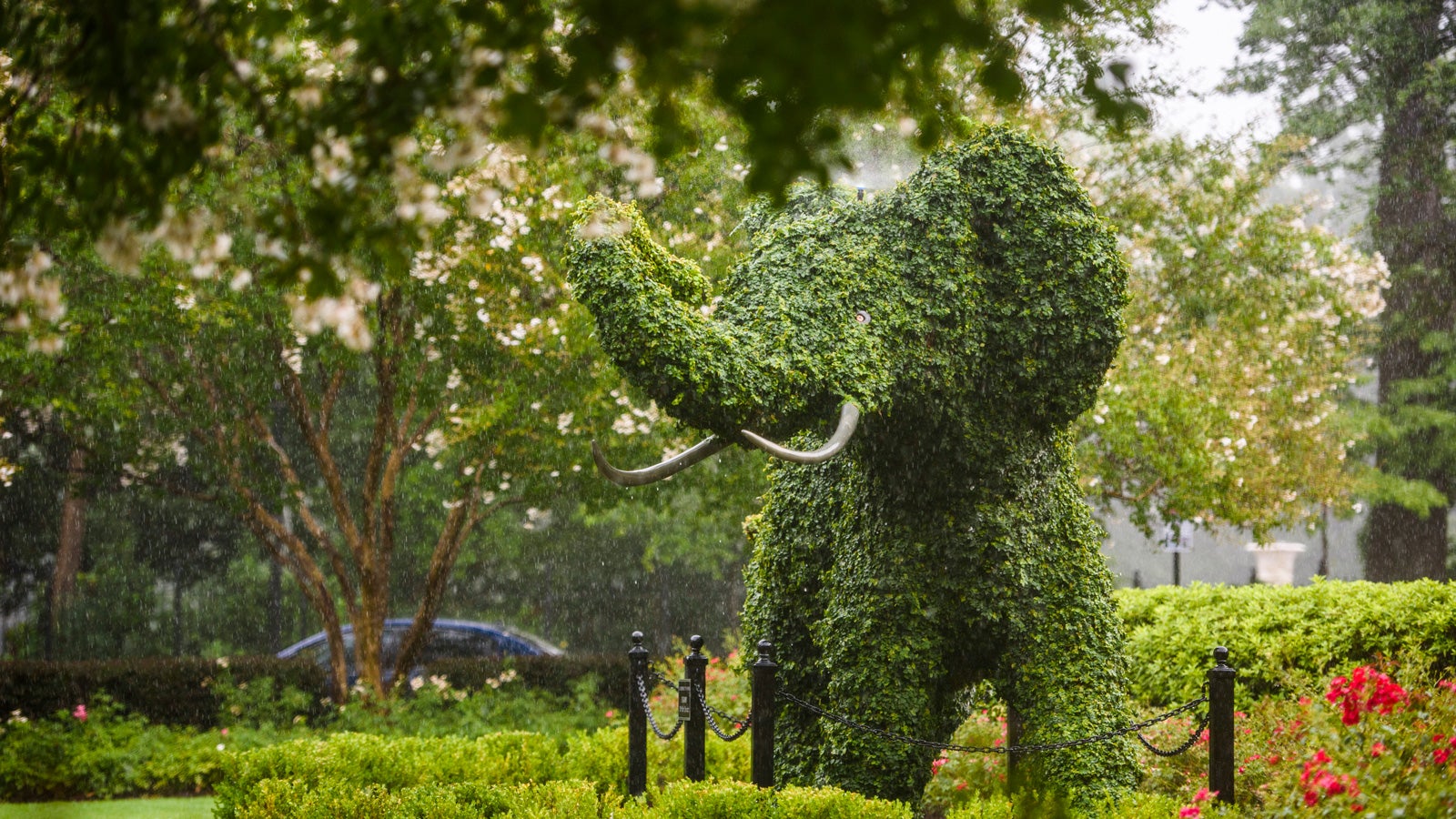 elephant topiary in front of the Rose Administration Building