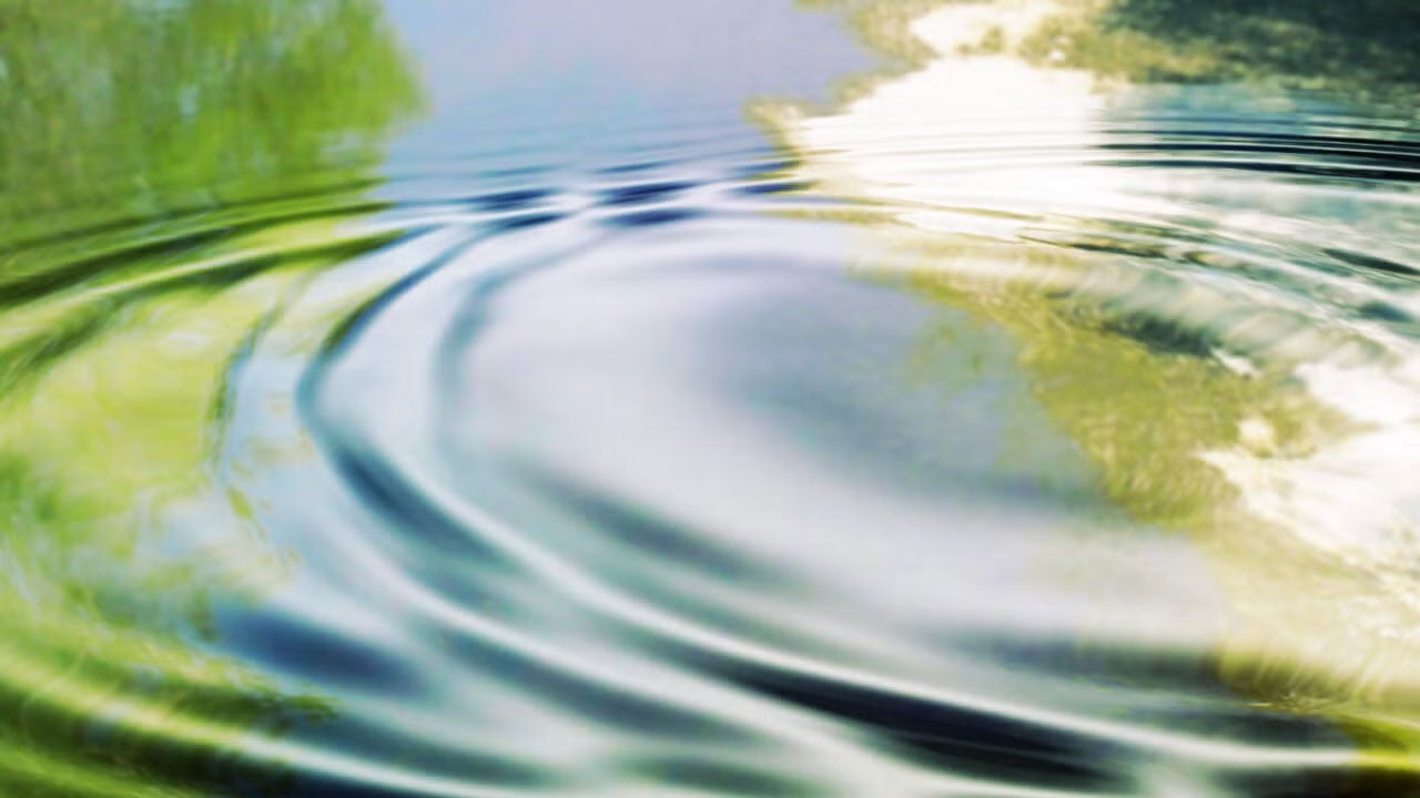 ripples on a water surface